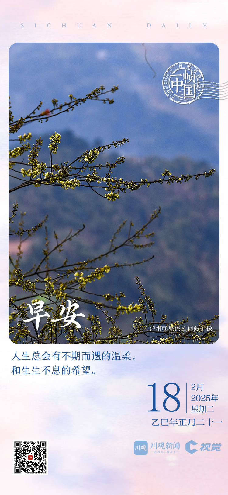个体案例