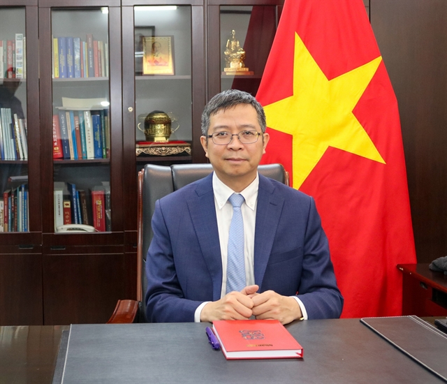 己的國內進